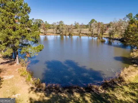 865 Holt Rd, Wray, GA 31798 photo 22