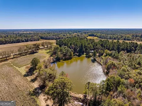 865 Holt Rd, Wray, GA 31798 photo 6