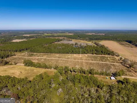 865 Holt Rd, Wray, GA 31798 photo 34