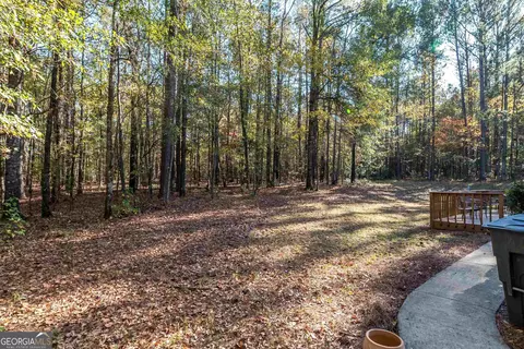 1207 Mack Scott Rd, Pine Mountain, GA 31822 photo 6