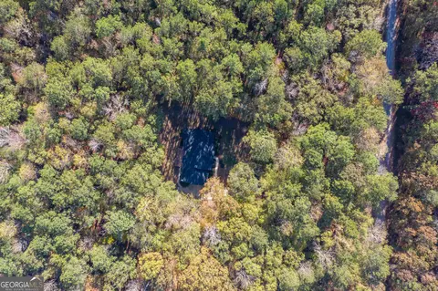 1207 Mack Scott Rd, Pine Mountain, GA 31822 photo 2