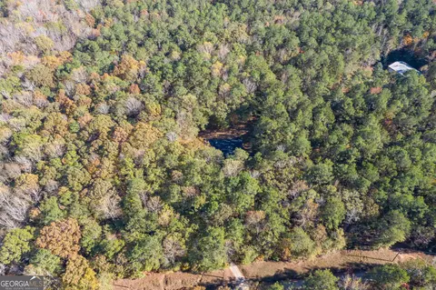 1207 Mack Scott Rd, Pine Mountain, GA 31822 photo 3