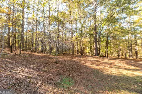 1207 Mack Scott Rd, Pine Mountain, GA 31822 photo 13