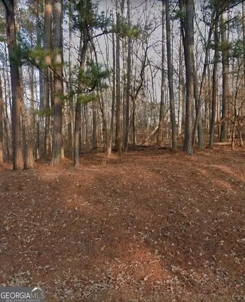 530 Rock Rd, Stockbridge, GA 30281