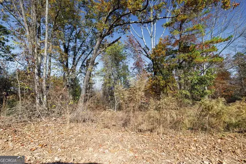 0 Copperhead Rd, Cornelia, GA 30531 photo 4