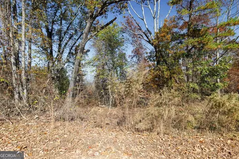 0 Copperhead Rd, Cornelia, GA 30531 photo 5