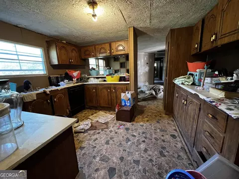 565 Vaughn Rd, Temple, GA 30179 photo 6