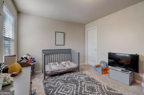 341 Lamont Ln, Hampton, GA 30228 photo 49