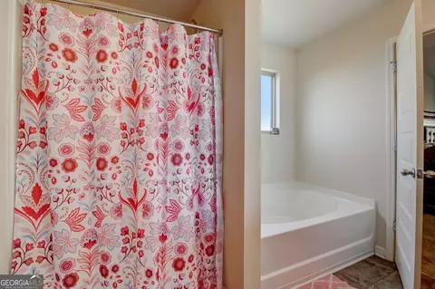 341 Lamont Ln, Hampton, GA 30228 photo 44