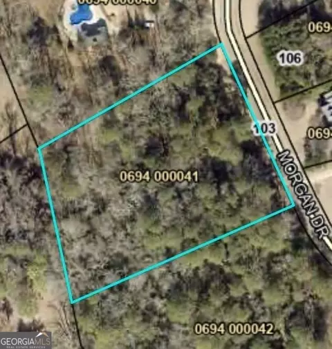 103 Morgan Dr, Lagrange, GA 30240 photo 5