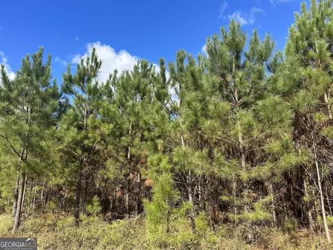 007 George Mccorkle Rd, Buena Vista, GA 31803