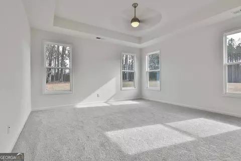 162 Maple Ln #32, Williamson, GA 30292 photo 18