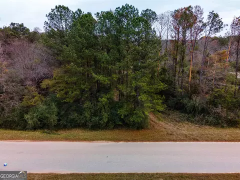 0 Parmer Rd, Lagrange, GA 30241 photo 2