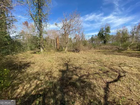 0 Parmer Rd, Lagrange, GA 30241 photo 8