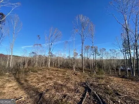31 Acres Windwood Dr, Lanett, AL 36863