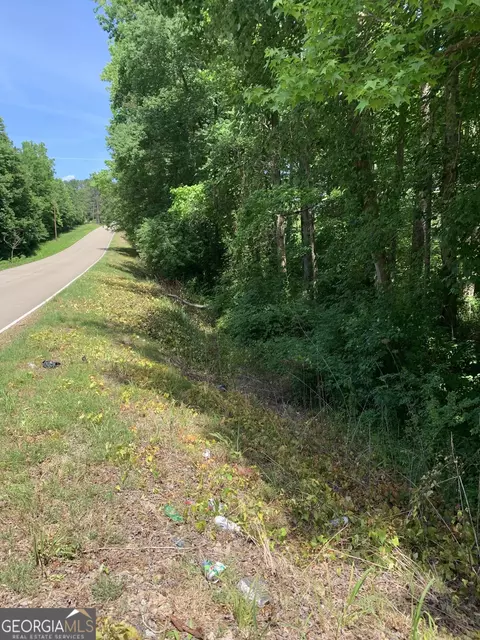 0 County Rd 65, Fruithurst, AL 36262 photo 7