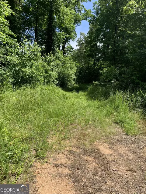 0 County Rd 65, Fruithurst, AL 36262 photo 9