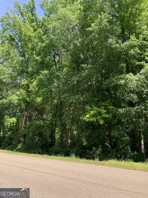 0 County Rd 65, Fruithurst, AL 36262 photo 10