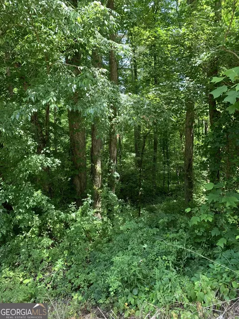 0 County Rd 65, Fruithurst, AL 36262 photo 8