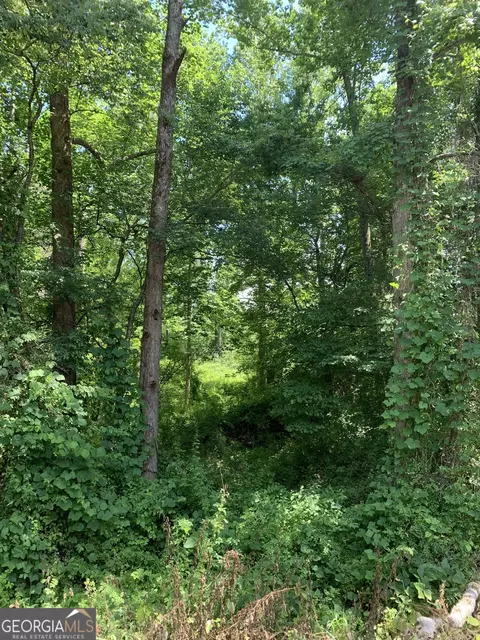 0 County Rd 65, Fruithurst, AL 36262 photo 13