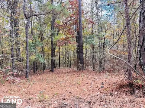2813 Dixon Rd, Roberta, GA 31078 photo 13