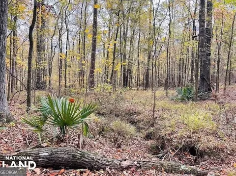 2813 Dixon Rd, Roberta, GA 31078 photo 4