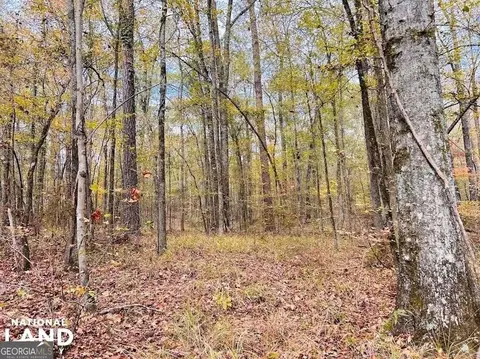 2813 Dixon Rd, Roberta, GA 31078 photo 6