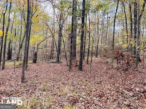 2813 Dixon Rd, Roberta, GA 31078 photo 7