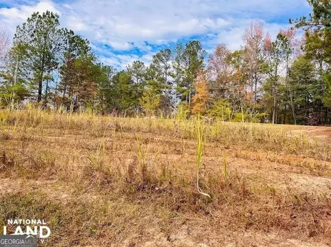 2813 Dixon Rd, Roberta, GA 31078 photo 11
