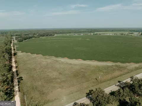 0 Georgia 55 Hwy, Leary, GA 39862