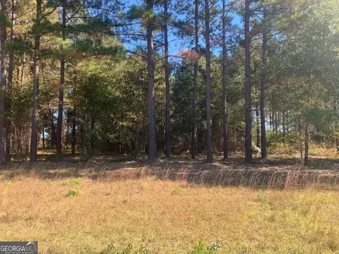 lot7 Jenny Lynn Ln, Fort Gaines, GA 39851