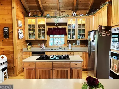 181 S Pine Cove Dr, Lagrange, GA 30240 photo 26