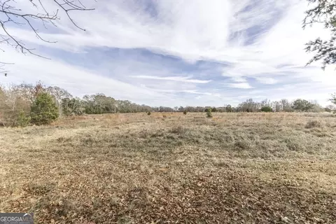 246 Terrell Rd, Elko, GA 31025 photo 14