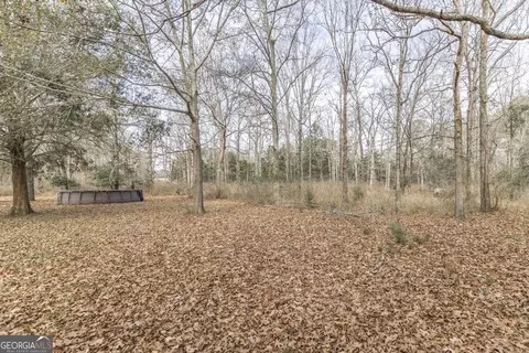 246 Terrell Rd, Elko, GA 31025 photo 10