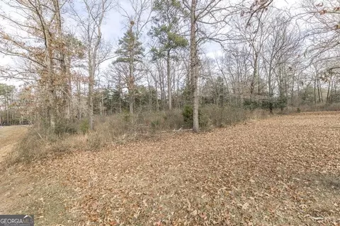 246 Terrell Rd, Elko, GA 31025 photo 6