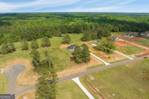 51 Millie Trl, Williamson, GA 30292 photo 3