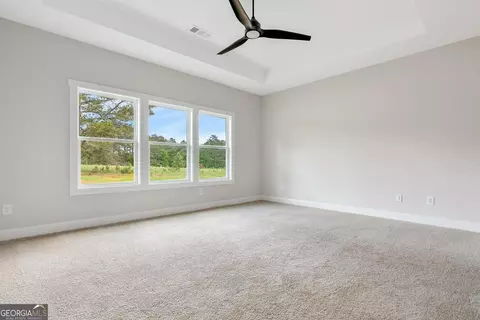 51 Millie Trl, Williamson, GA 30292 photo 21