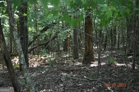 0 Malory Cir #LOT 1422, Ellijay, GA 30540