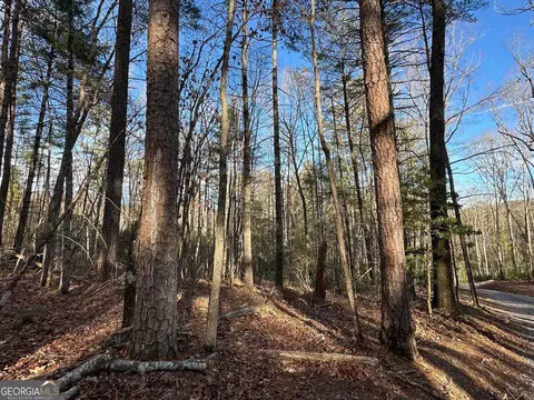 1 Harrison And Ada Road, Blue Ridge, GA 30513