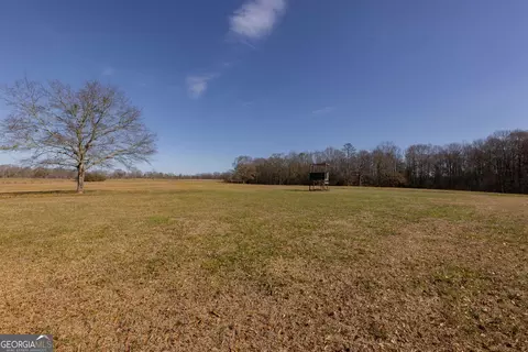 484 Five Points Rd, Milner, GA 30257 photo 26