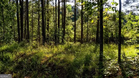 0 Morgan Mill Rd #4, Senoia, GA 30276