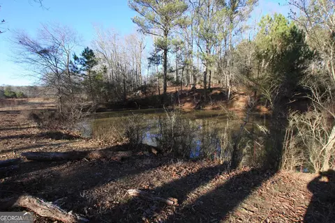 0 Pullen Rd, Lindale, GA 30147 photo 17