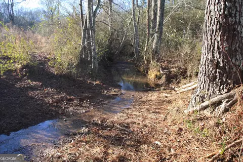 0 Pullen Rd, Lindale, GA 30147 photo 24