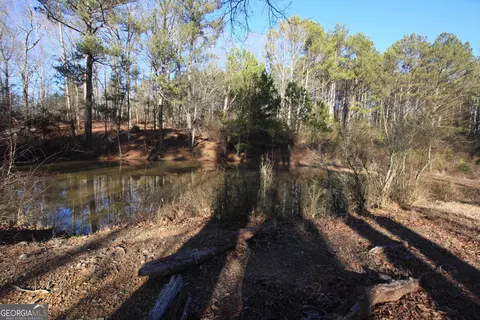 0 Pullen Rd, Lindale, GA 30147 photo 18