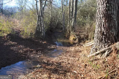0 Pullen Rd, Lindale, GA 30147 photo 23