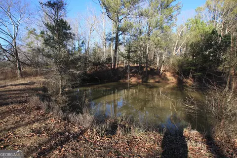 0 Pullen Rd, Lindale, GA 30147 photo 16