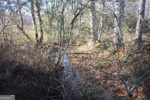 0 Pullen Rd, Lindale, GA 30147 photo 14