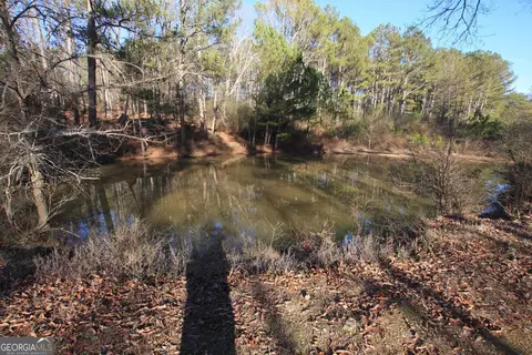 0 Pullen Rd, Lindale, GA 30147 photo 15