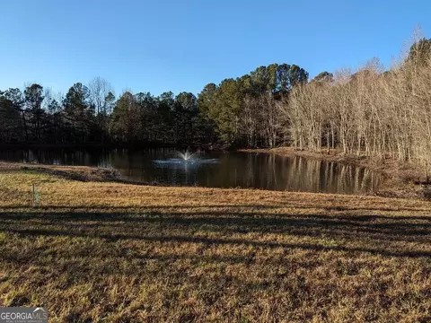 527 Mcdonough Rd, Hampton, GA 30228 photo 34