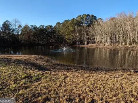 527 Mcdonough Rd, Hampton, GA 30228 photo 33